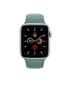 Apple Watch Series 5 cactus sport band with silver aluminum case