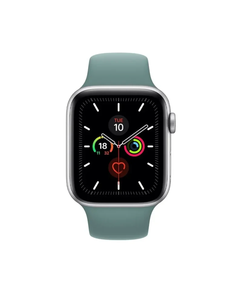 Apple Watch Series 5 cactus sport band with silver aluminum case