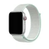 Apple Watch silver aluminum with teal sport loop band